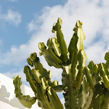 Vila Casa Jable Roja *