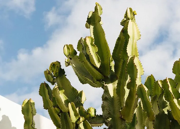 Villa Casa Jable Roja *